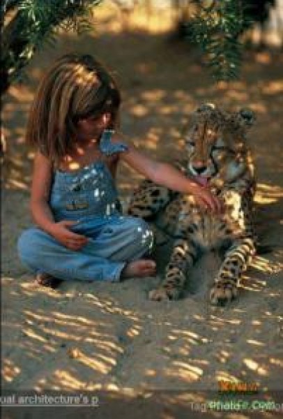 Born Free by Roaa - Illustrated by Roaa Zoabi - Ourboox.com