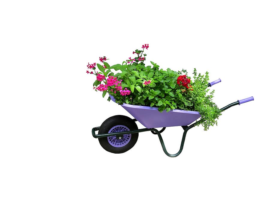 גלגלים by Farah Naarani - Illustrated by פרח נעראני - Ourboox.com