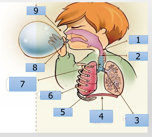 قصة لن اغضب ابدا by suha - Ourboox.com
