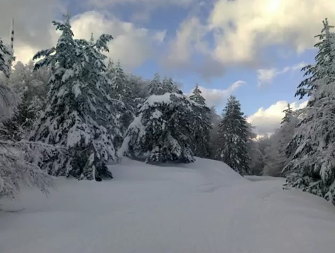 La montagna by FILOMENA GRECO - Illustrated by LA MONTAGNA - Ourboox.com