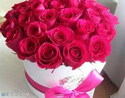 🌹الورود🌹 by mariam odeh - Illustrated by مريم عوده - Ourboox.com