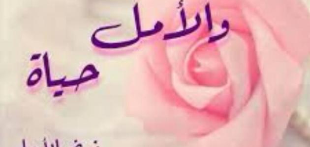 🌹الورود🌹 by mariam odeh - Illustrated by مريم عوده - Ourboox.com