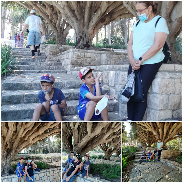 שנת הקורונה by SHUKER - Illustrated by רותי - Ourboox.com