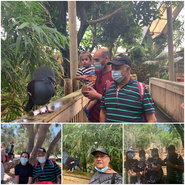 שנת הקורונה by SHUKER - Illustrated by רותי - Ourboox.com