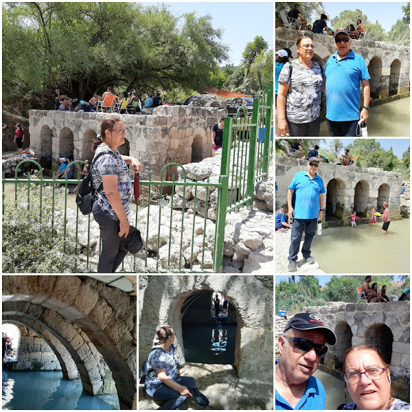 שנת הקורונה by SHUKER - Illustrated by רותי - Ourboox.com