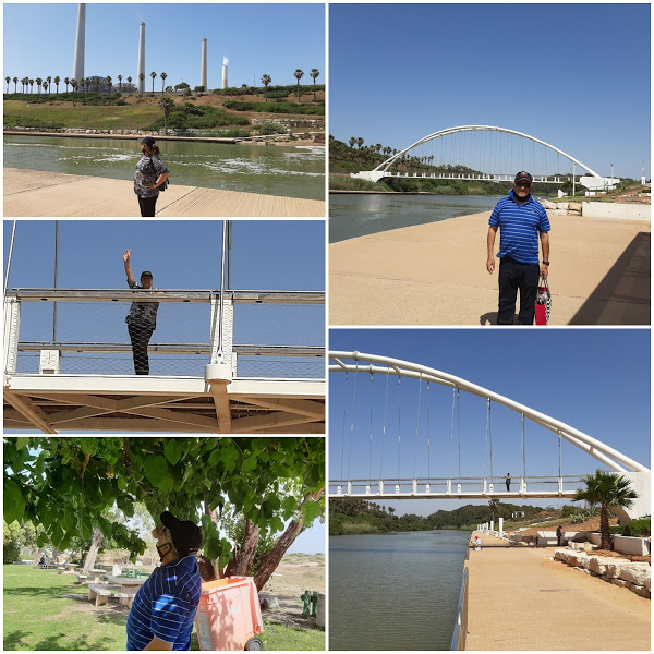 שנת הקורונה by SHUKER - Illustrated by רותי - Ourboox.com