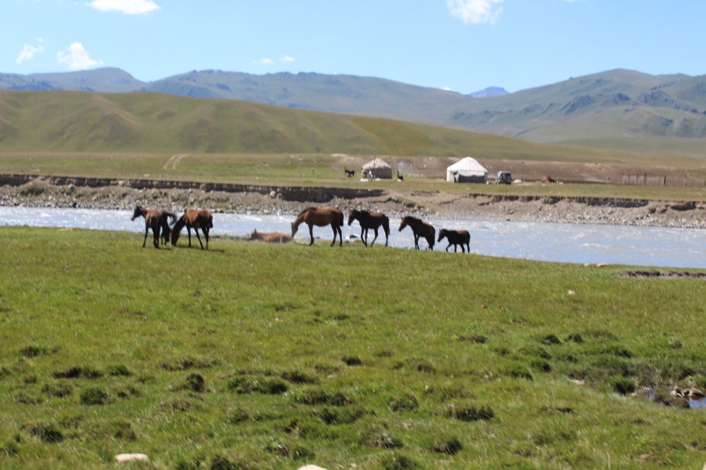 טיול לקירגיסטאן קיץ 2017 by rina vanunu - Ourboox.com