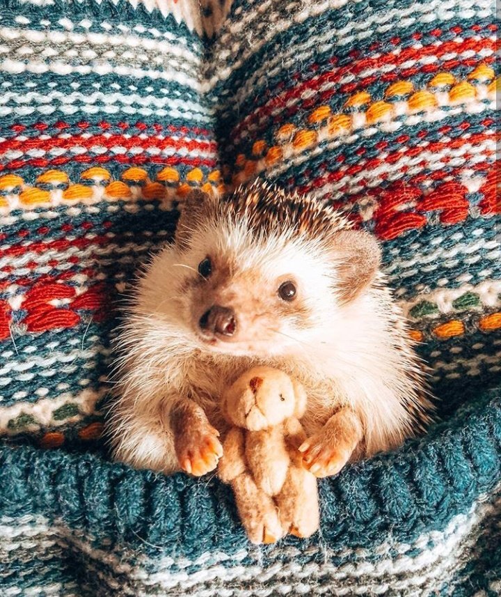 גלגלים by Farah Naarani - Illustrated by פרח נעראני - Ourboox.com