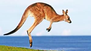 Dictionary by Ahmet Kayra YILLDIZ - Ourboox.com