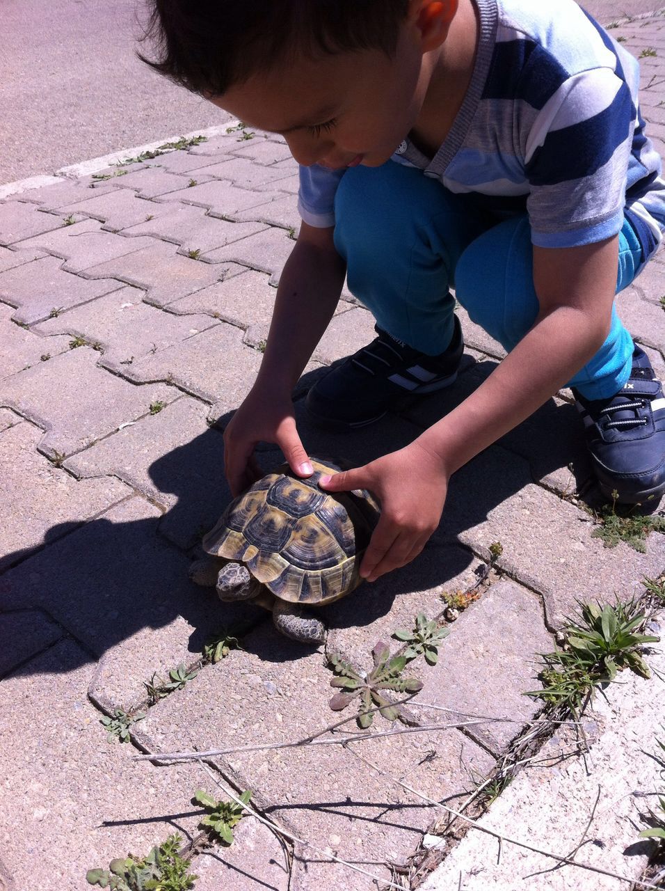 Galip GELGEÇ by Galip GELGEÇ - Ourboox.com