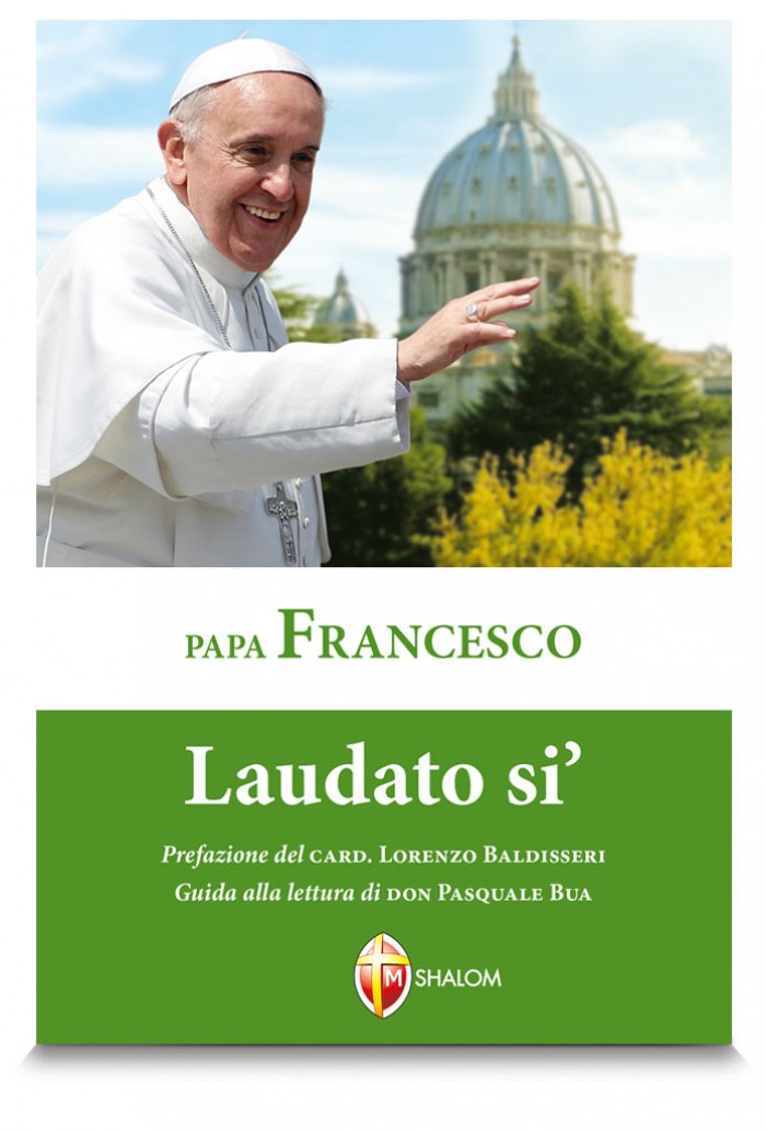 La copertina dell’enciclica Laudato si’ by Rosaria Ricciardo - Ourboox.com
