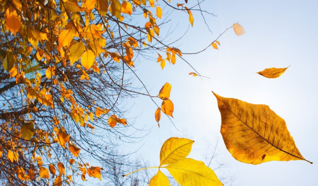 נוער נושר ממשפחות של בעלי תשובה by ATARA - Illustrated by עטרה אורה ברכה שפיגלר - Ourboox.com