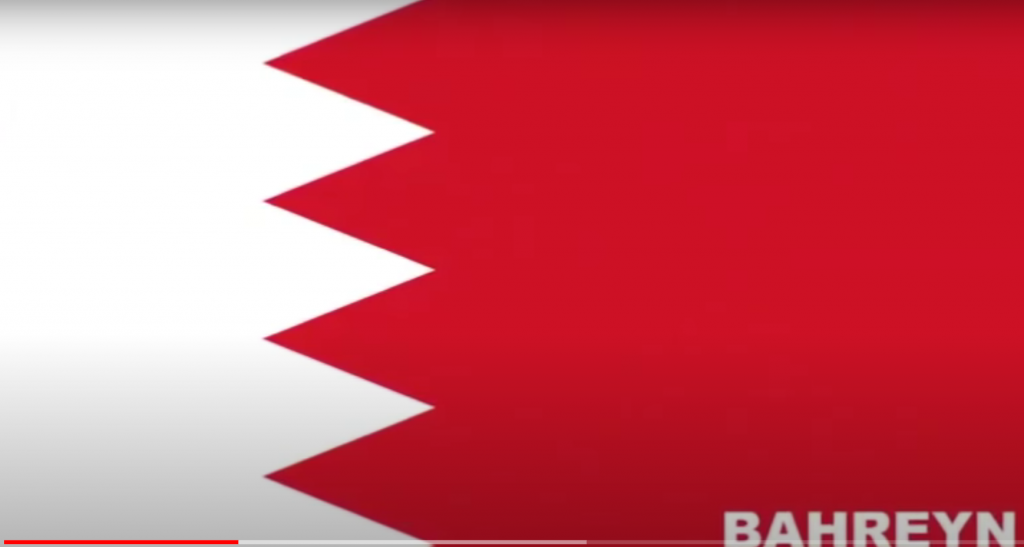 ÜLKELERİN BAYRAKLARI by FATMA HÜSNA - Ourboox.com