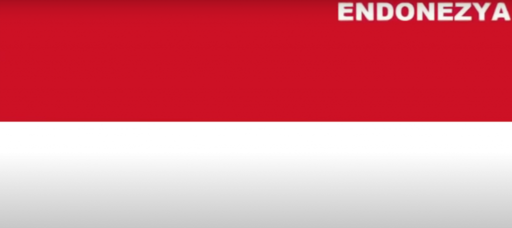 ÜLKELERİN BAYRAKLARI by FATMA HÜSNA - Ourboox.com