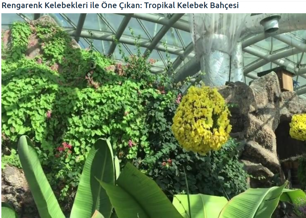 KONYA by FATMA HÜSNA - Ourboox.com