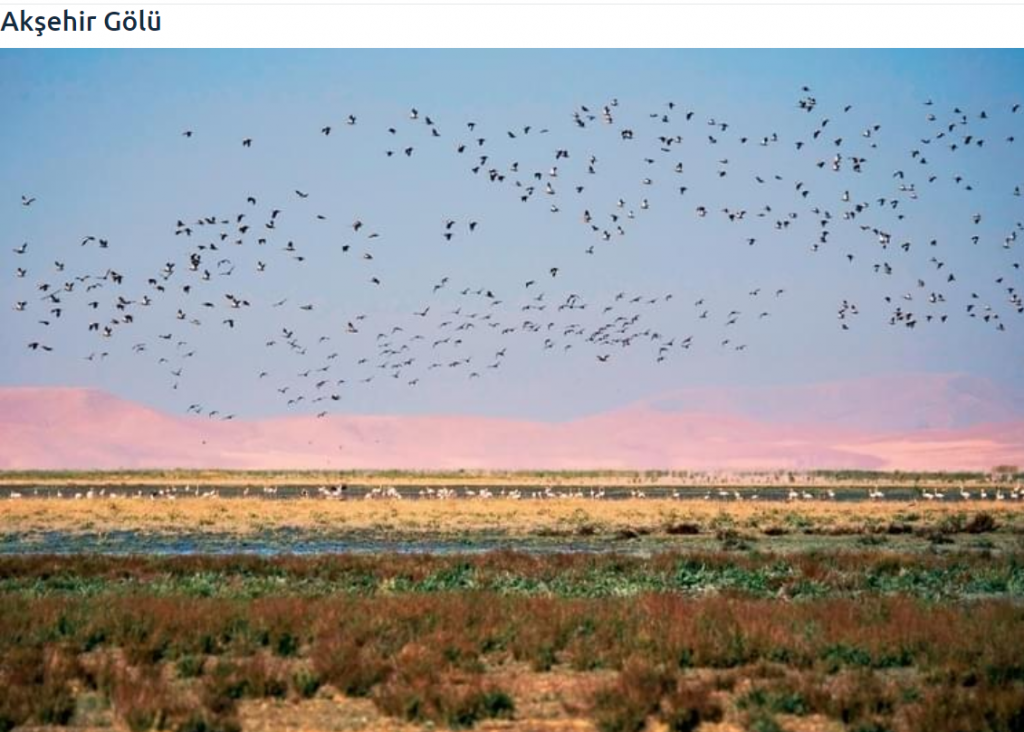 KONYA by FATMA HÜSNA - Ourboox.com