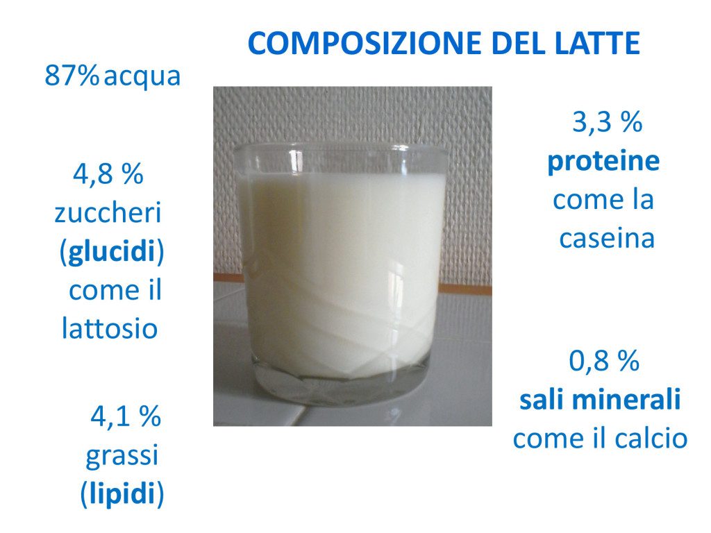Il latte by Federica Gruosso - Ourboox.com