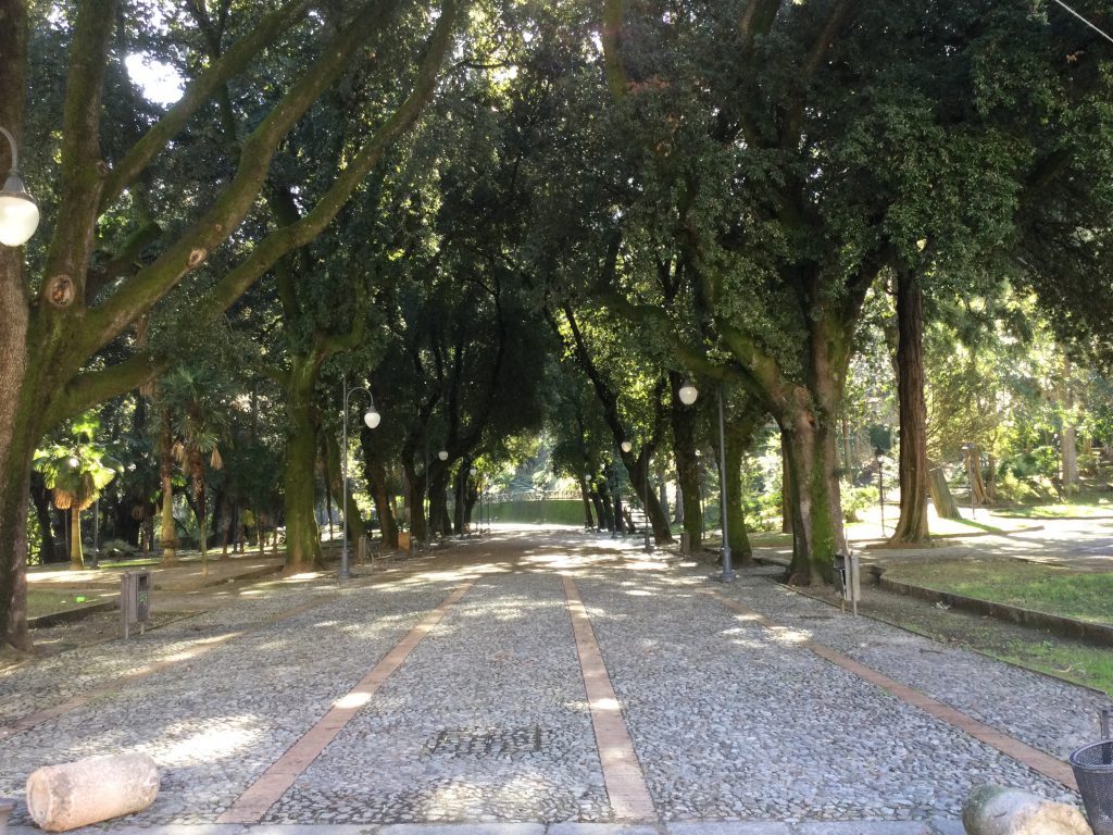 Viaggio nel centro storico di Cosenza by MARTINO PIERO DOMENICO - Ourboox.com