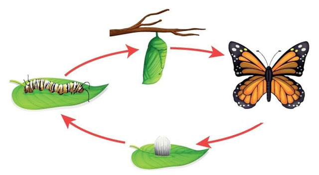 مهمة اداء 2 by Alghala abdulla - Ourboox.com