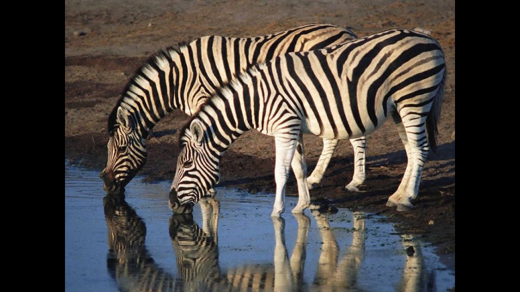 مهمة اداء 2 by Alghala abdulla - Ourboox.com