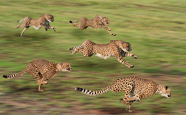 مهمة اداء 2 by Alghala abdulla - Ourboox.com