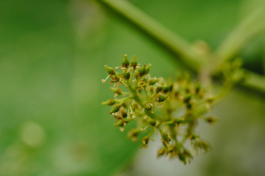 Prova 1 by Laboratorio Tecnologie Didattiche - Ourboox.com