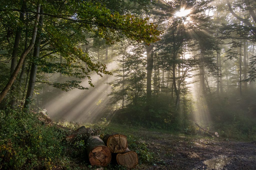 Prova 1 by Laboratorio Tecnologie Didattiche - Ourboox.com