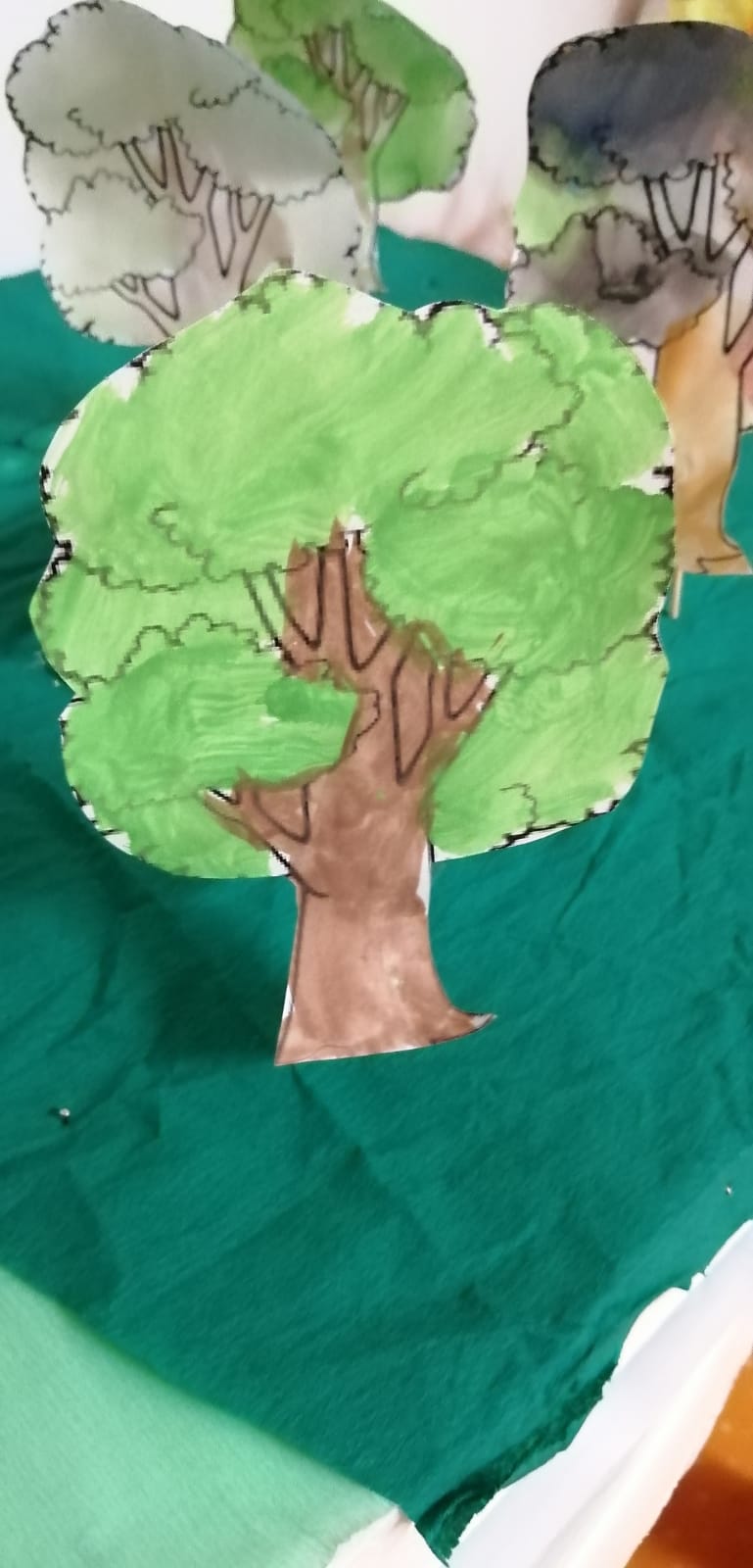 The forest book by Roxana Prisecaru - Ourboox.com