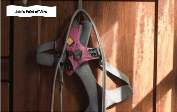 Jake by andrea faith M. espinosa - Ourboox.com