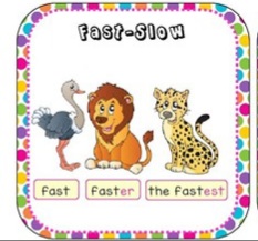 MY PİCTİONARY DİCTİONARY by Leyla ecrin özşahan - Ourboox.com