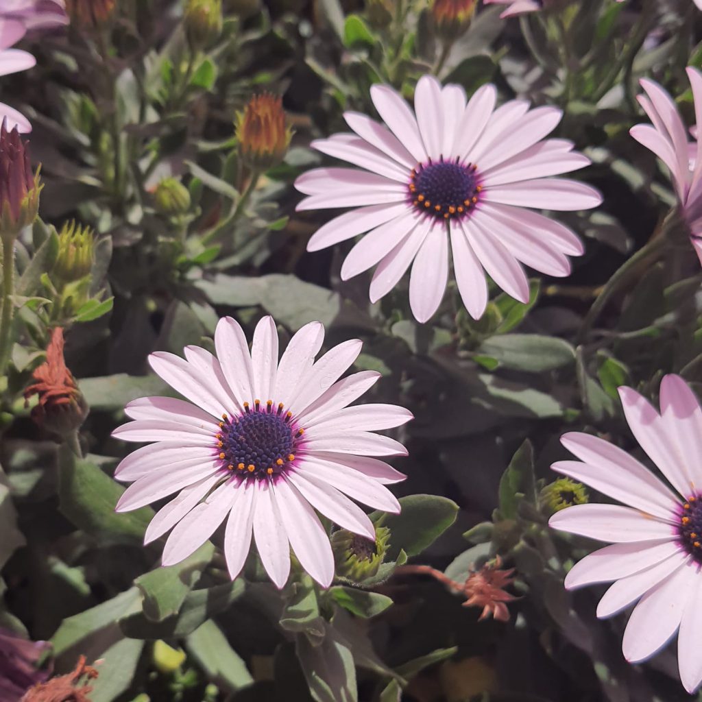 الطبيعة by Bayan - Ourboox.com