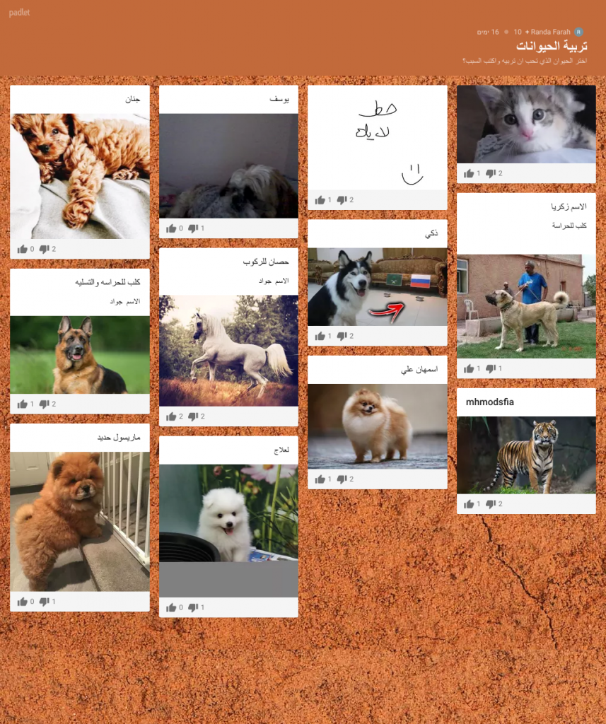 سِر نجاحُنا…بتحدي فترة الكورونا by randa - Illustrated by من إبداعات  طلاب برنامج إيلا والدمج - طبقة الثامن مدرسة العين كفرياسيف - Ourboox.com