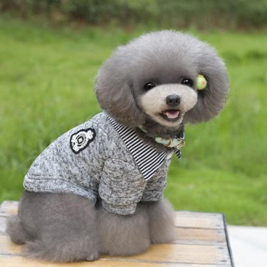 köpekler by Beren - Ourboox.com