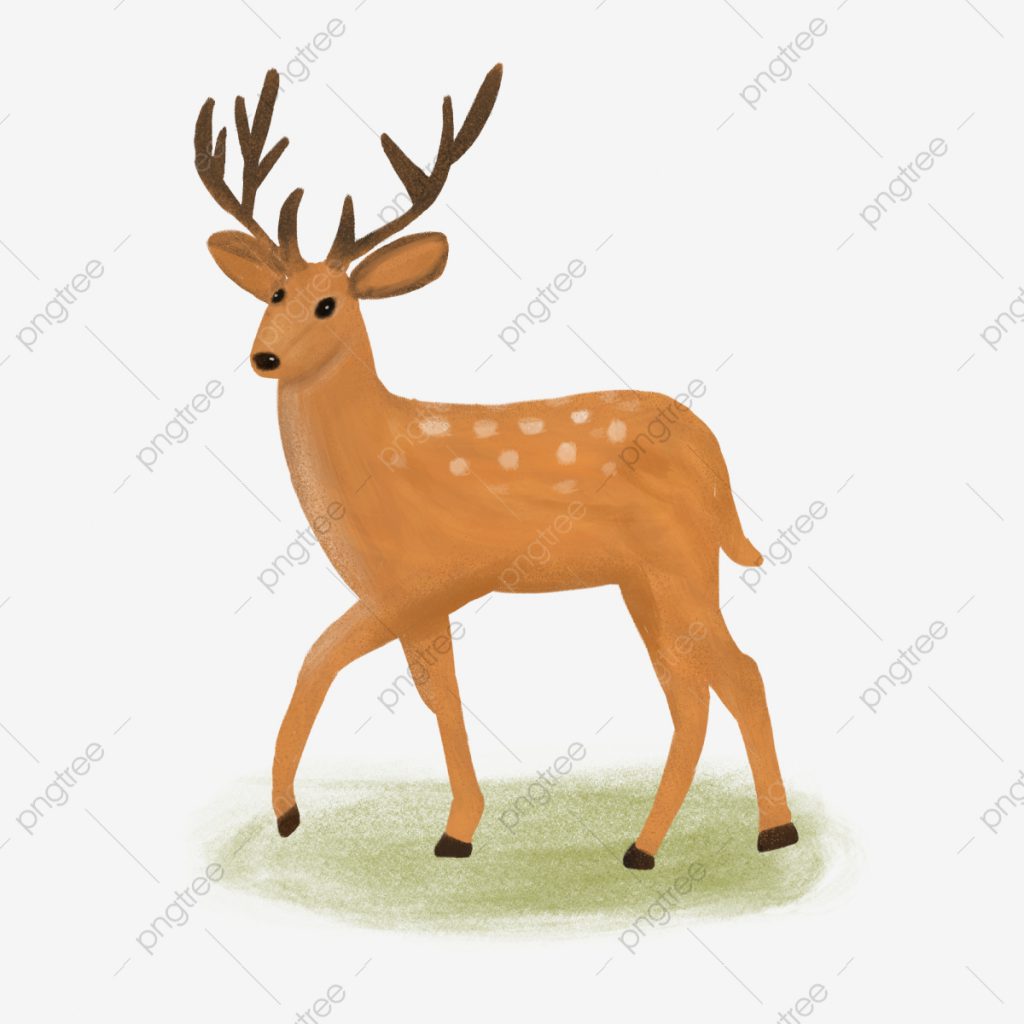 הארנב האיום by asmaa - Illustrated by אסמאא גזאלין - Ourboox.com