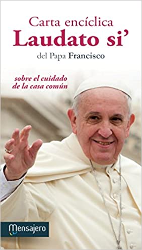 La copertina dell’enciclica Laudato si’ by Rosaria Ricciardo - Ourboox.com