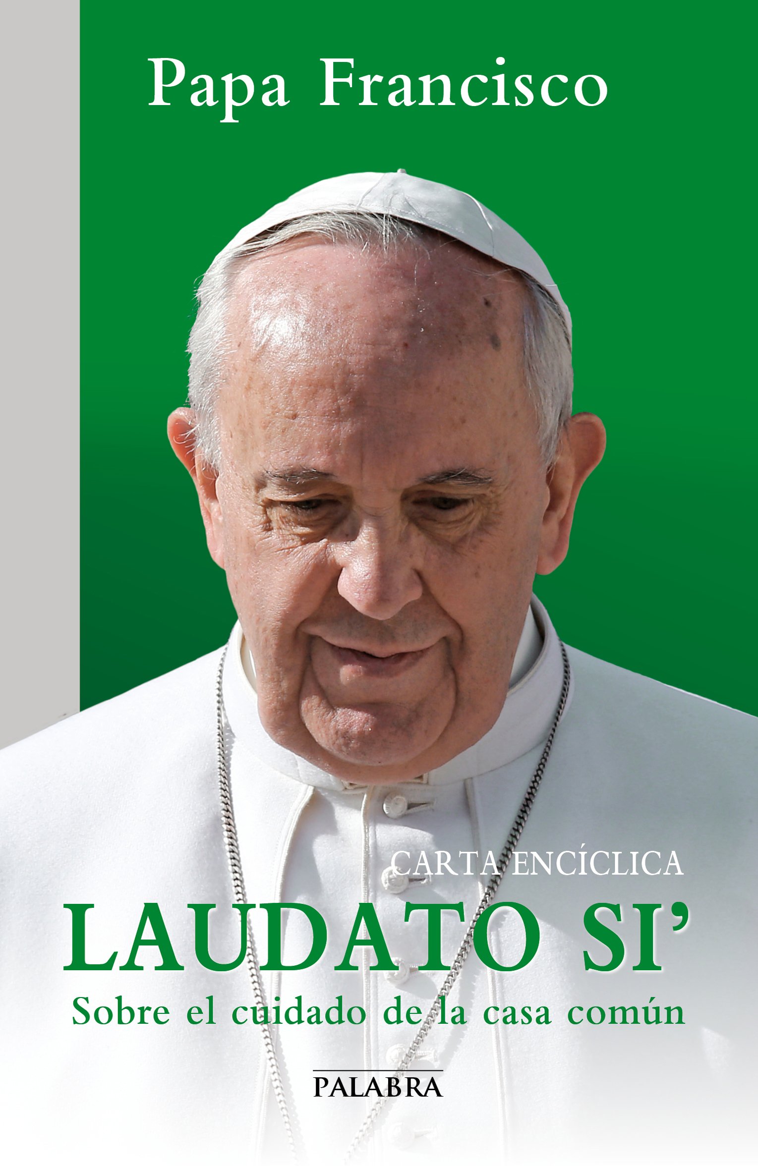 La copertina dell’enciclica Laudato si’ by Rosaria Ricciardo - Ourboox.com