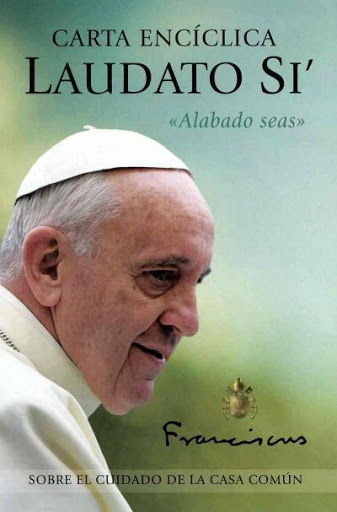 La copertina dell’enciclica Laudato si’ by Rosaria Ricciardo - Ourboox.com