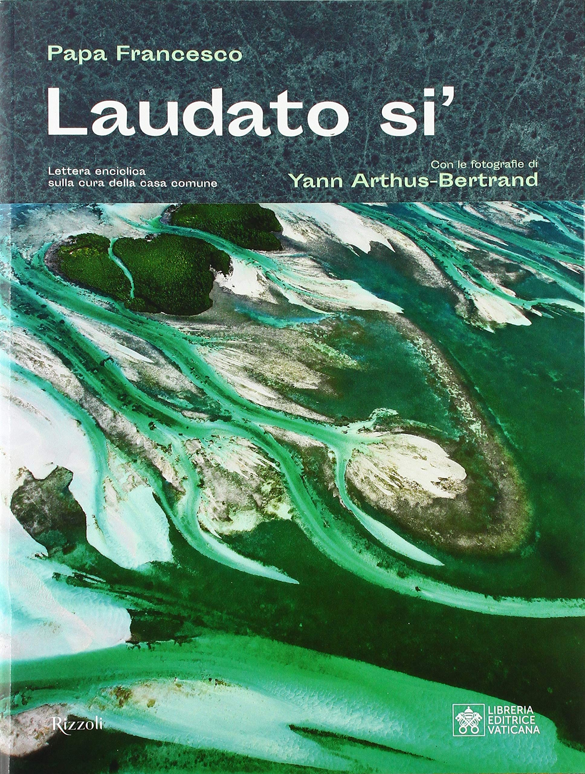 La copertina dell’enciclica Laudato si’ by Rosaria Ricciardo - Ourboox.com