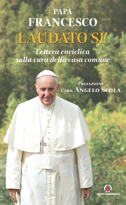 La copertina dell’enciclica Laudato si’ by Rosaria Ricciardo - Ourboox.com