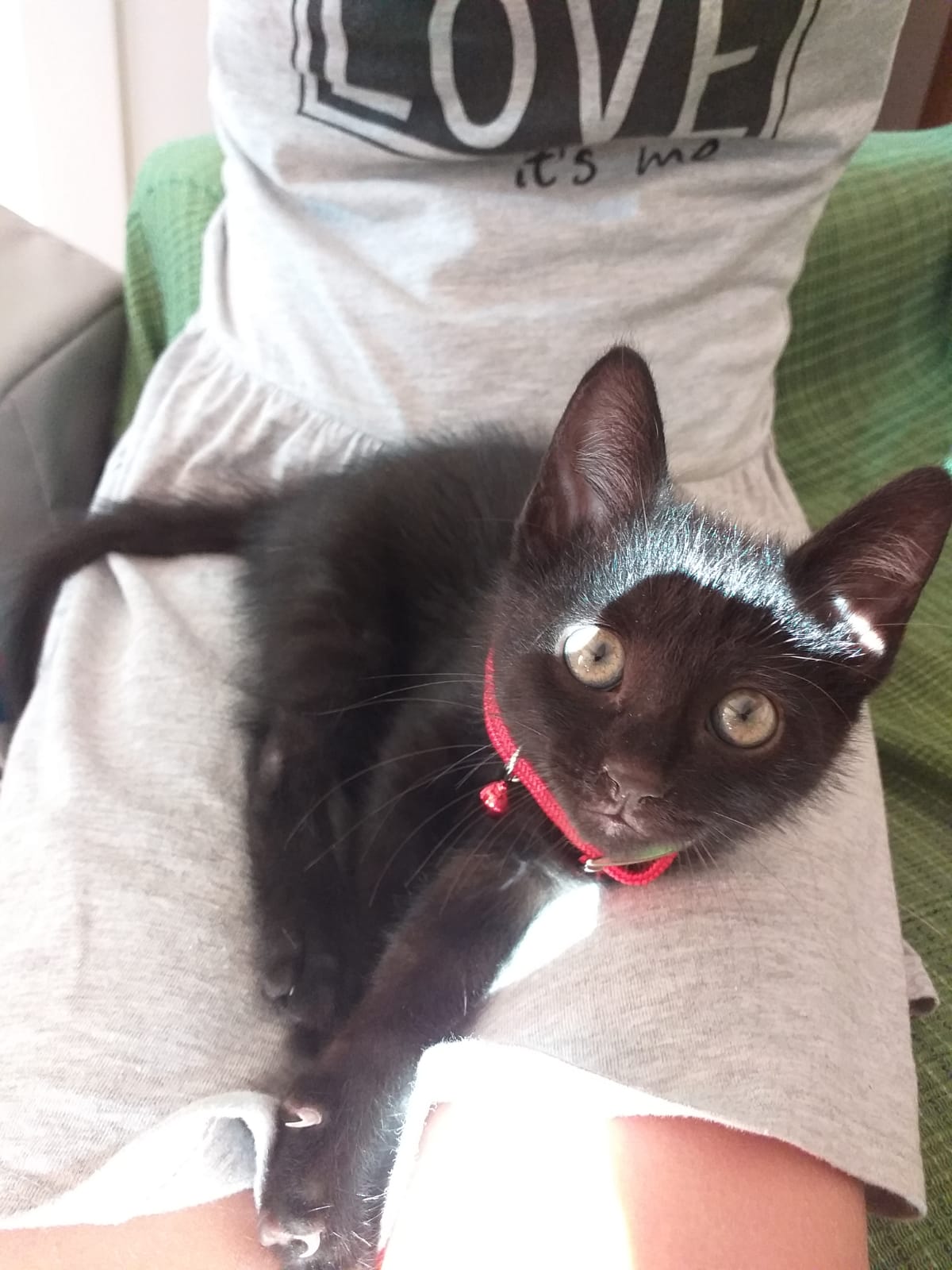 This is me by Tommaso Pieroni - Ourboox.com