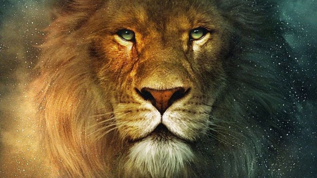 hayvanlar by Esma Nur EKİLSİN - Ourboox.com