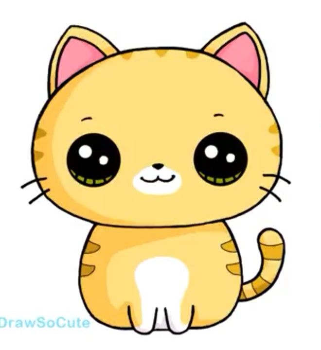 HAYVANLAR by Rıdvan Akdemir - Ourboox.com