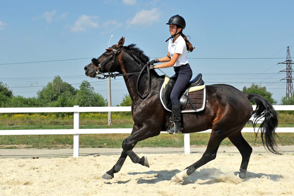 ВЕРХОВА ЇЗДА by Anna - Illustrated by ЇЗДА ВЕРХИ: ВИШУКАНИЙ СПОРТ ЧИ КОРИСНЕ ХОБІ? - Ourboox.com