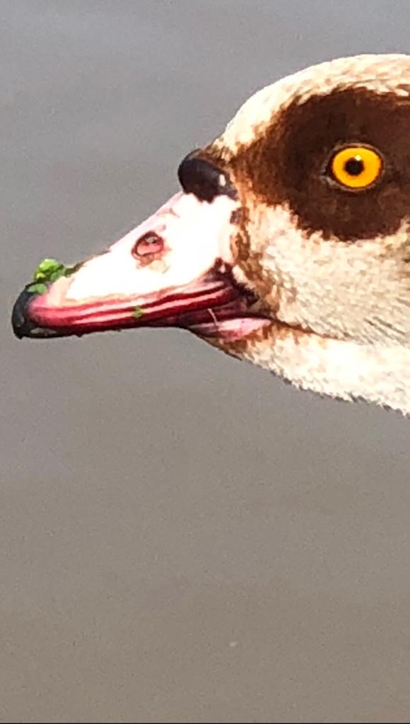 Things I Love, together with Allon Sasson by Nikita Smith - Ourboox.com