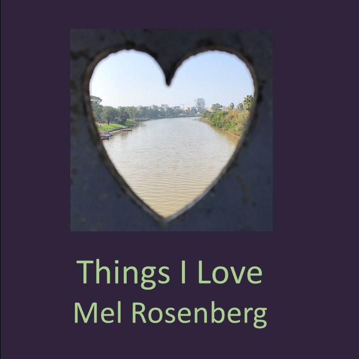 Things I Love, together with Allon Sasson by Nikita Smith - Ourboox.com