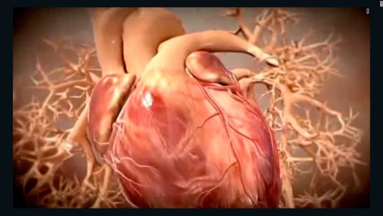 الكولسترول الضار وأمراض القلب by lamar - Ourboox.com