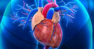 الكولسترول الضار وأمراض القلب by lamar - Ourboox.com