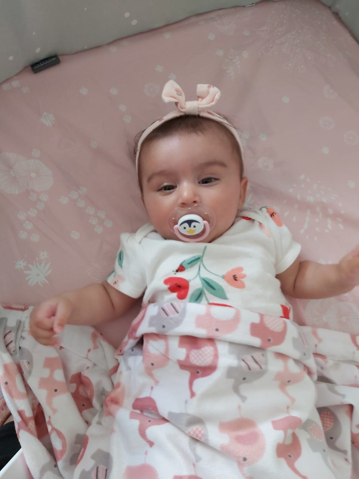 אלבום התמונות של שיר by sharon - Ourboox.com