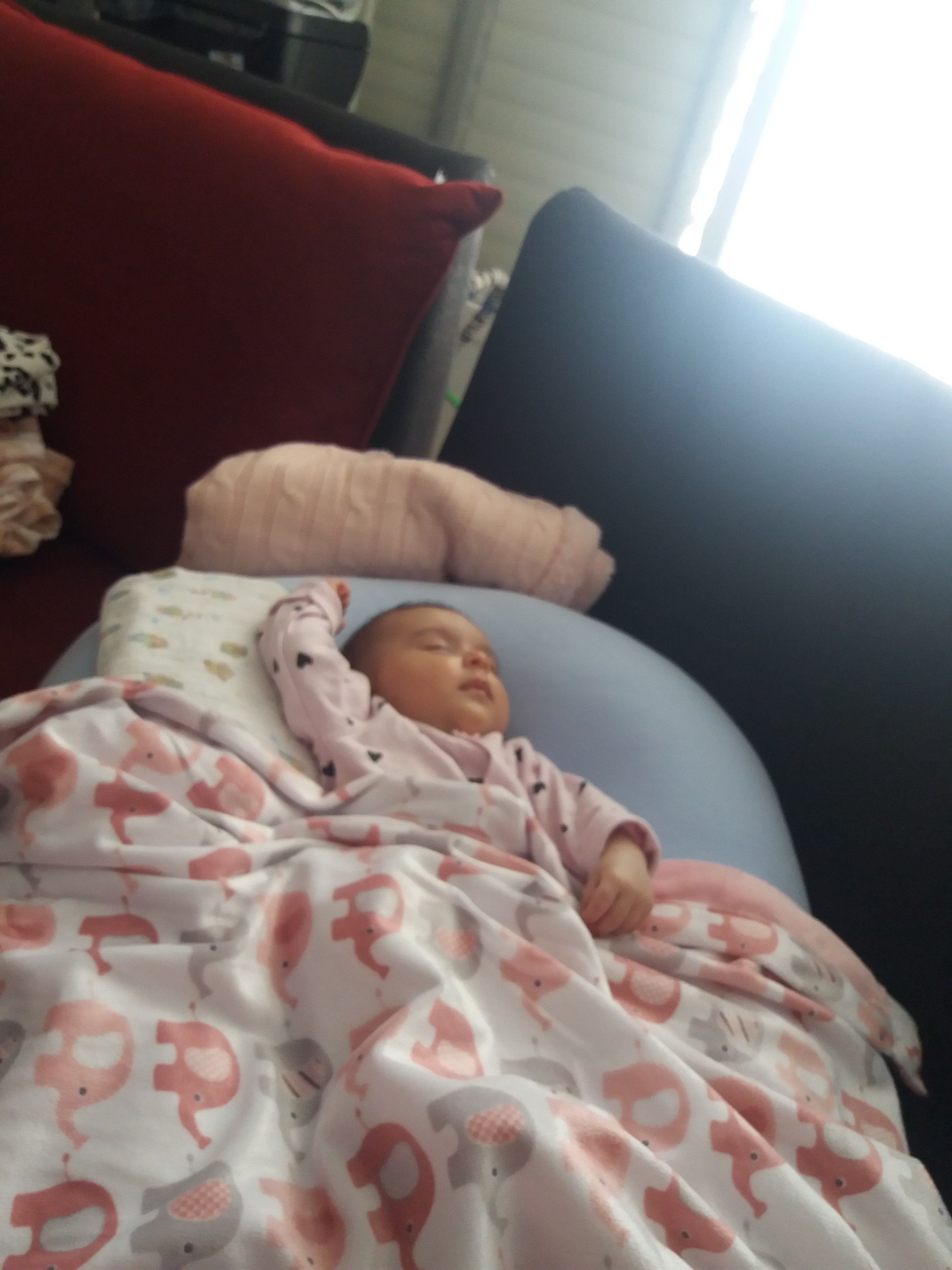 אלבום התמונות של שיר by sharon - Ourboox.com