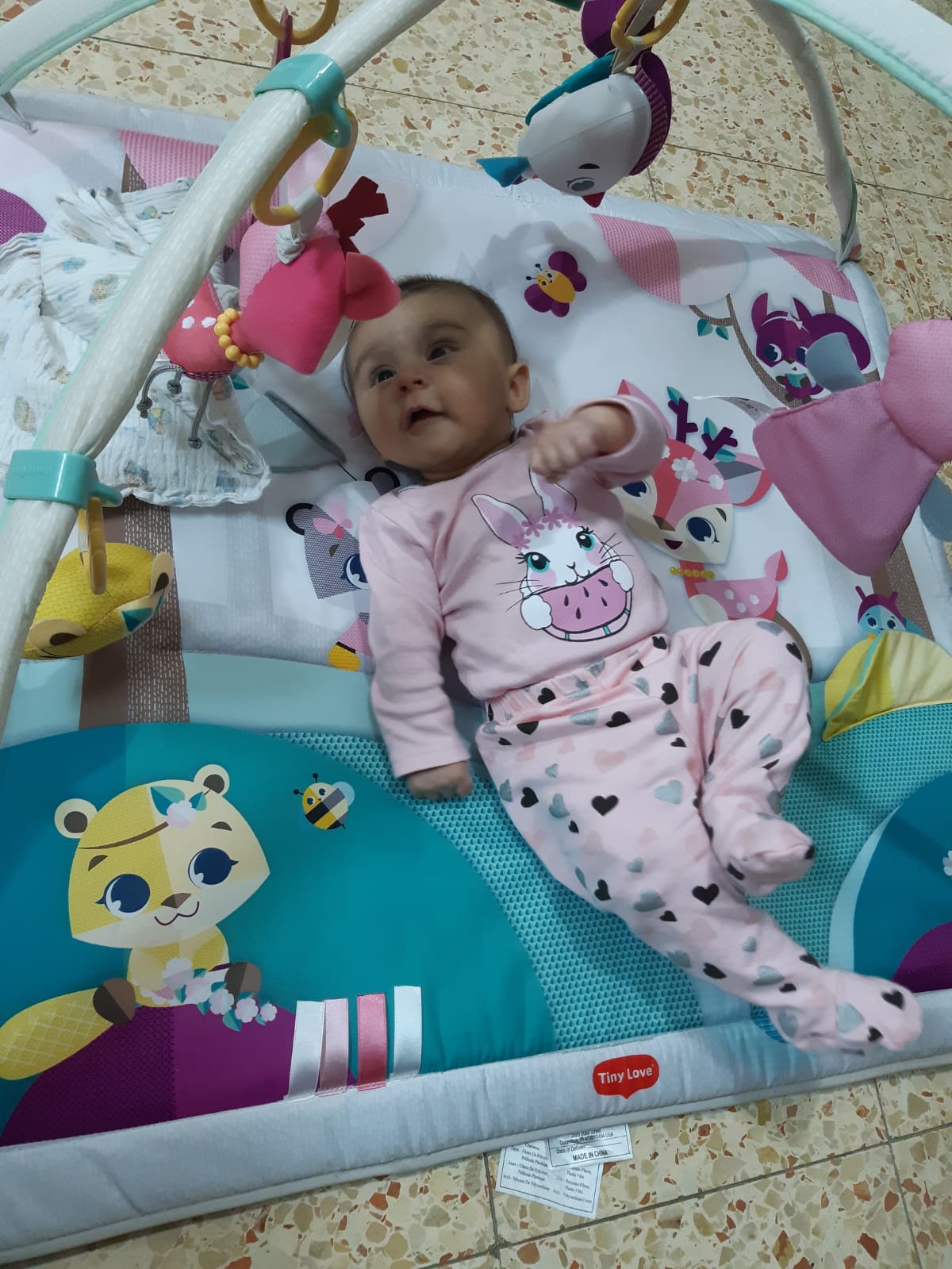 אלבום התמונות של שיר by sharon - Ourboox.com